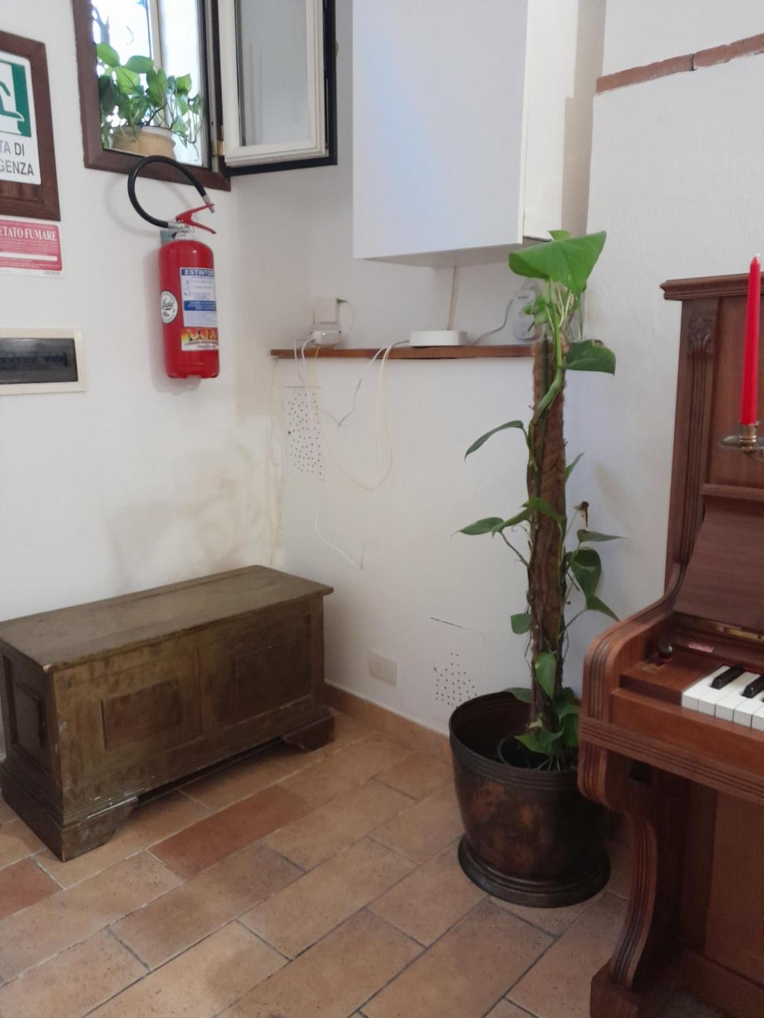 Apartamento Domus Gelsomino Roma Exterior foto